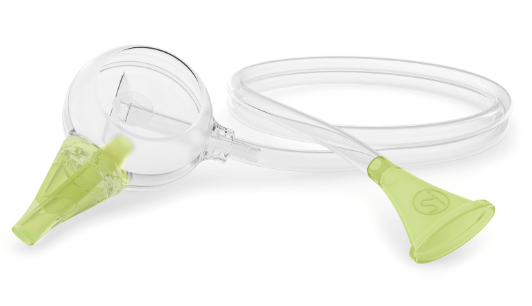 노시부 에코 사진