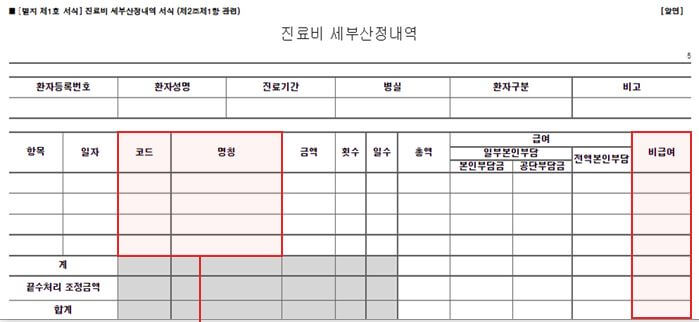 진료비세부산정내역서 비급여 항목