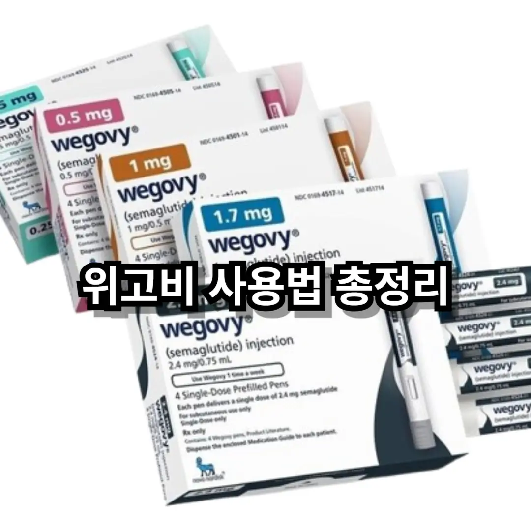 위고비 사용법 블로그글 썸네일